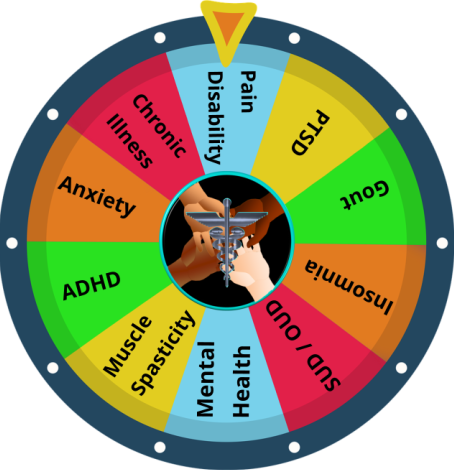 Medical Roulette Wheel
